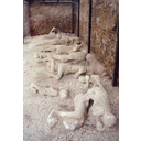 Muestra Imagen Imagen real de los habitantes de Pompeya que aun se conservan